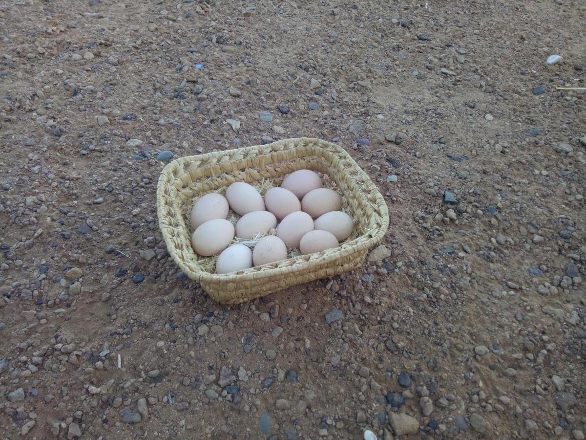 Отель Sahara Peace Camp Загора Экстерьер фото