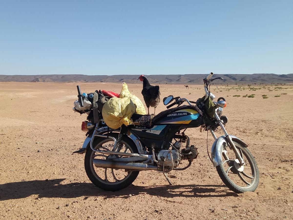 Отель Sahara Peace Camp Загора Экстерьер фото