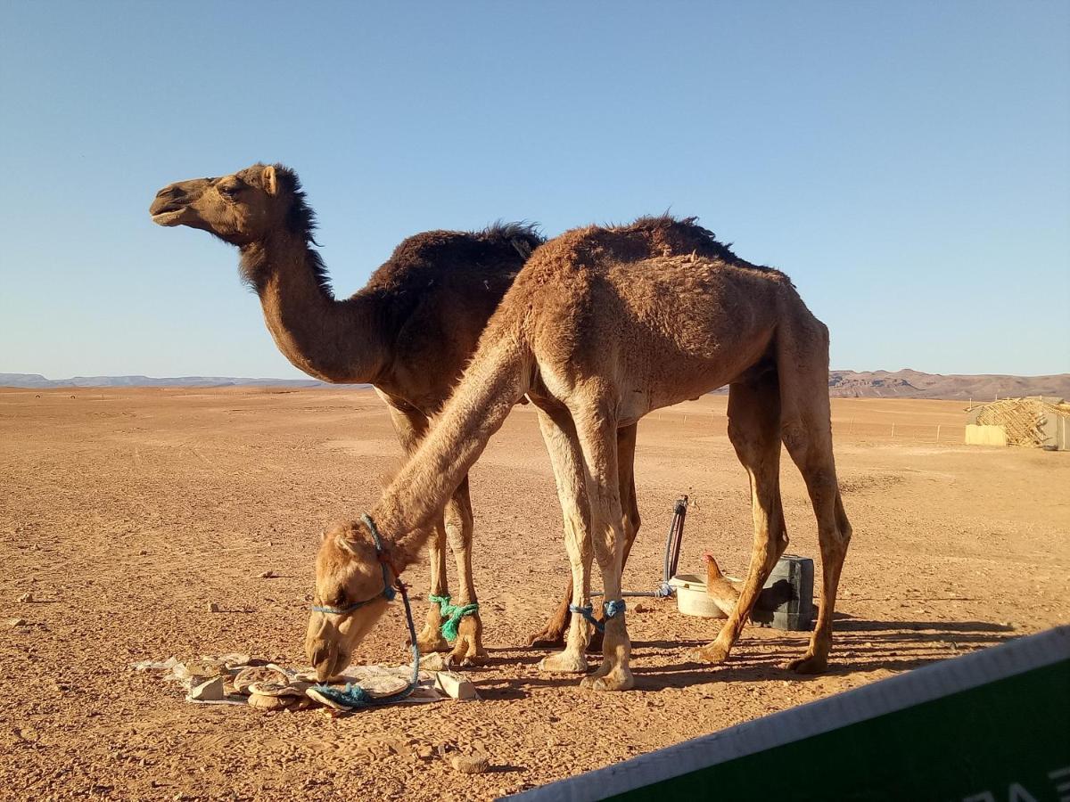 Отель Sahara Peace Camp Загора Экстерьер фото